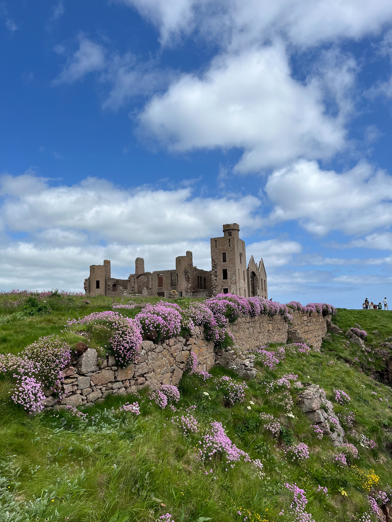 A castle ruin with flowers in front