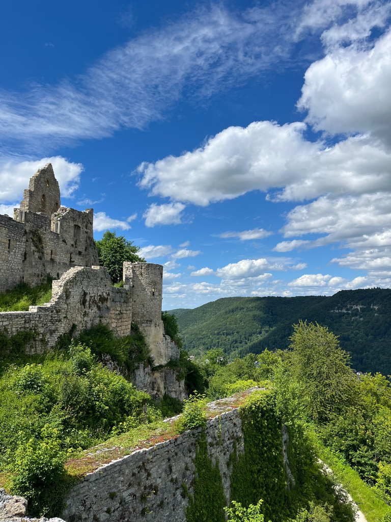 Castle ruins and a view in the back