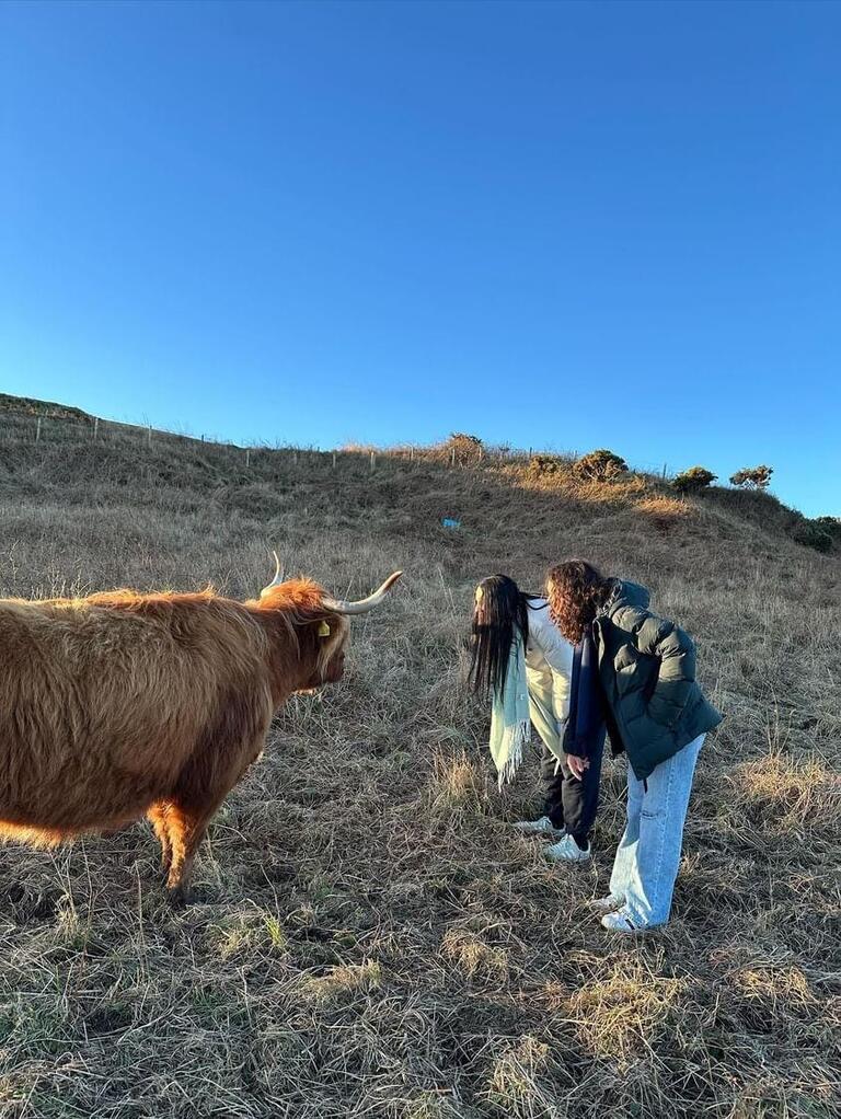 Valerie, a friend and a highland cow