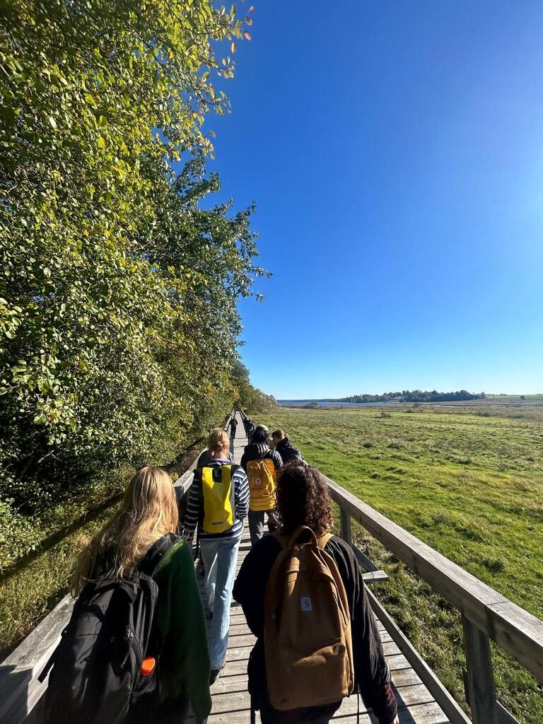 A group of students walking on a boardwalk with greenery on both sides and a blue sky