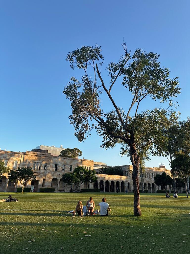 University quad scene at sunset with a tree in the foreground. Three people sit on the grass, and a historic stone building and blue sky are in the background.