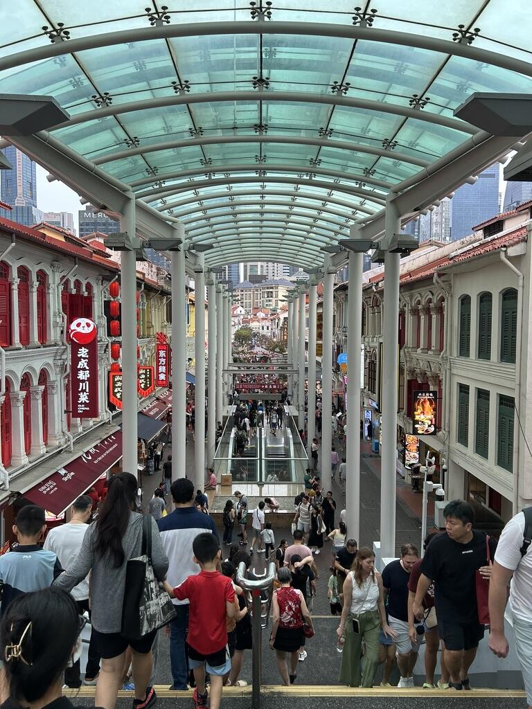 Bustling street market scene with diverse crowds between historic buildings adorned with signs. A glass roof overhead creates an urban, vibrant atmosphere.