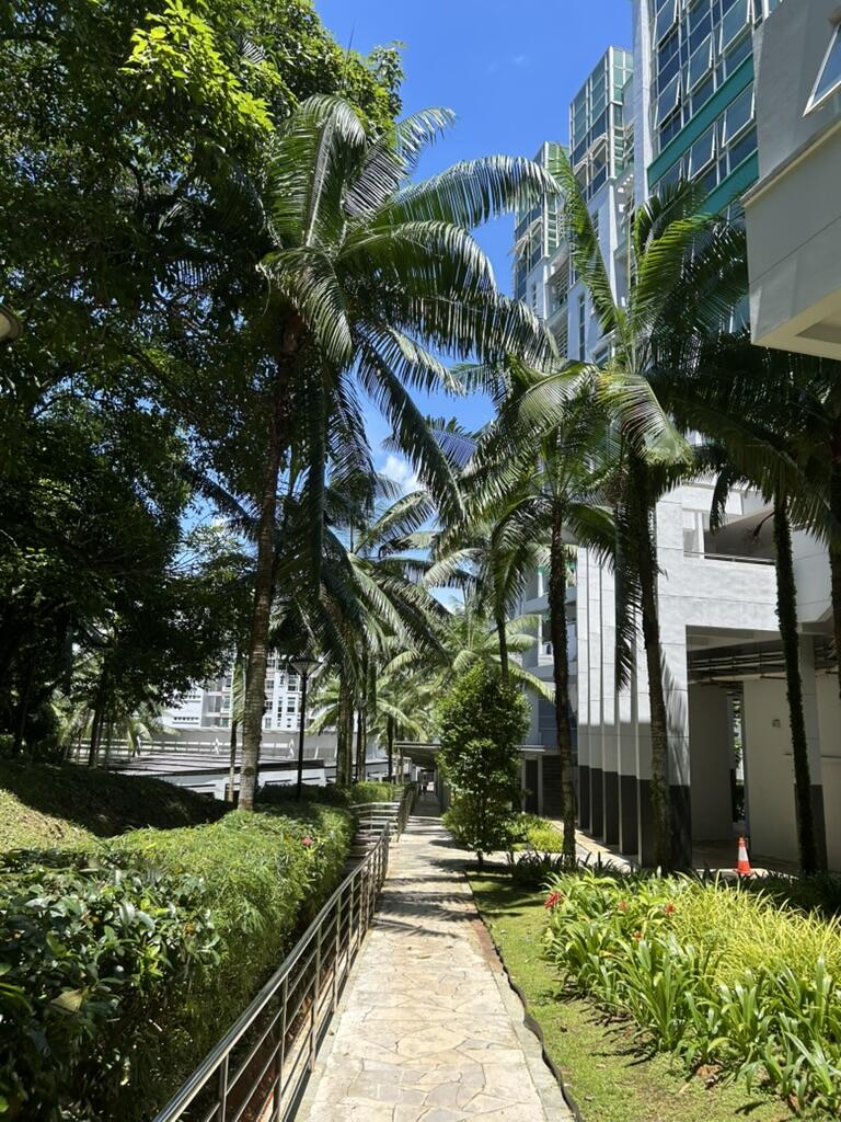 Palm trees line a sunny stone pathway beside a modern building with glass windows. Lush greenery and blue skies create a serene, tropical setting.