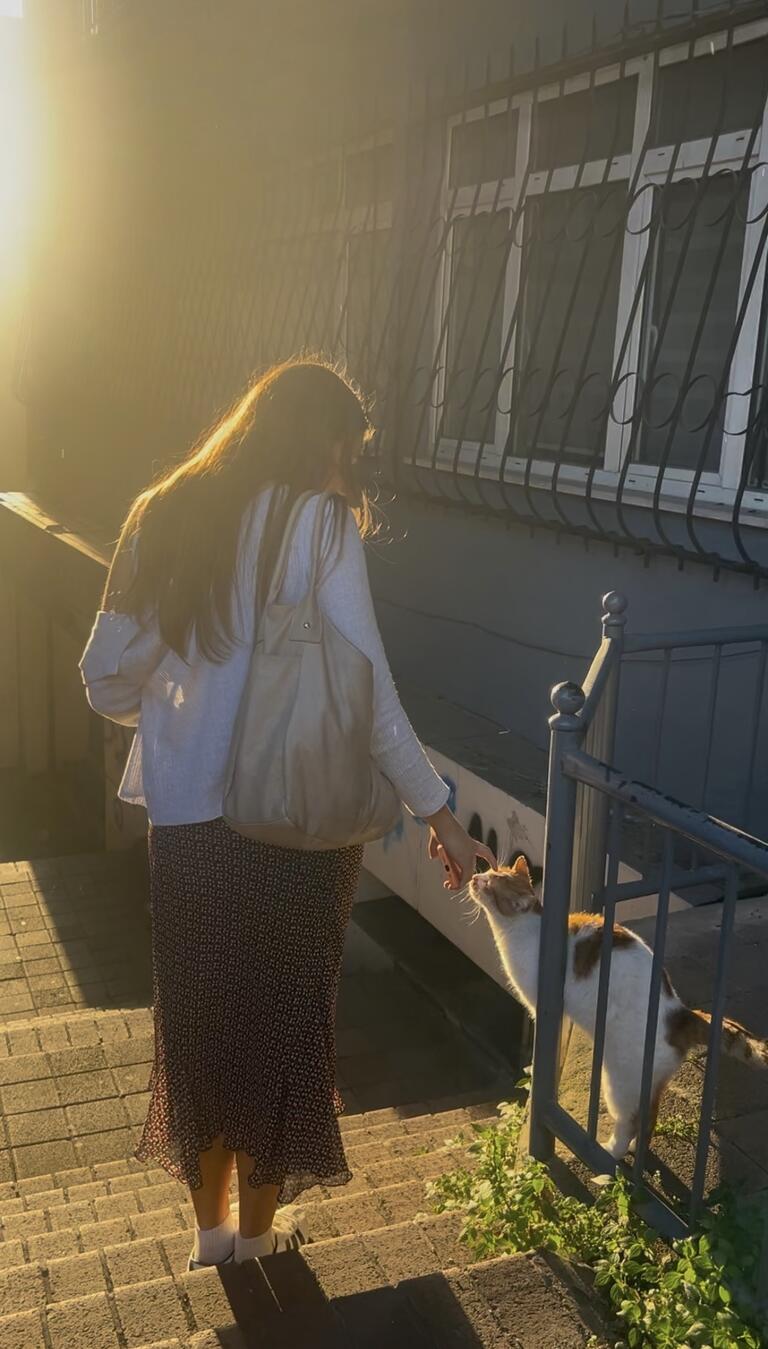 Woman in long skirt and sweater gently pets a cat on a sunlit sidewalk. Warm, golden light from the setting sun creates a serene atmosphere.