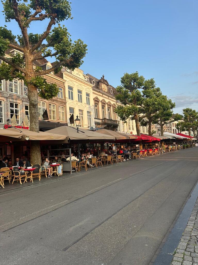 Street view of a café-lined avenue, featuring tables with patrons under awnings. Historic buildings and large trees create a relaxed, inviting atmosphere.