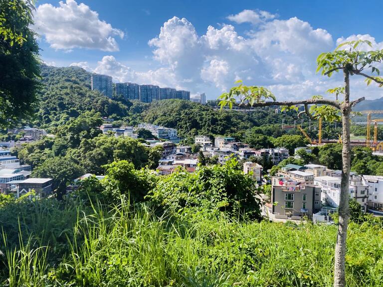 View of city skyline and rolling hills