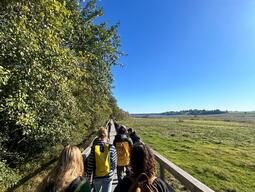 A group of students walking on a boardwalk with greenery on both sides and a blue sky