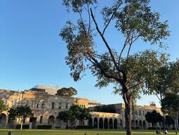 University quad scene at sunset with a tree in the foreground. Three people sit on the grass, and a historic stone building and blue sky are in the background.