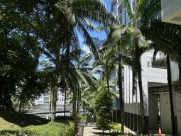 Palm trees line a sunny stone pathway beside a modern building with glass windows. Lush greenery and blue skies create a serene, tropical setting.