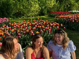 Julia and two friends sit and laugh together in a sunlit garden, surrounded by vibrant red and yellow tulips. The scene conveys joy and friendship.