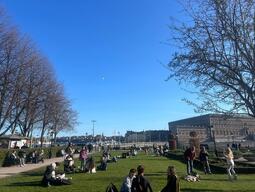 A scattering of city dwellers on a sunny Swedish day in the park.