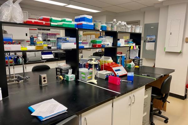 James Lab - Research Space