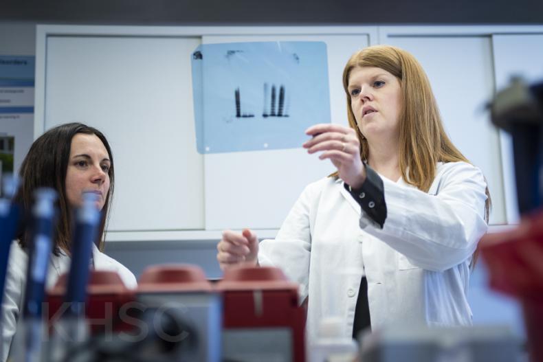 Dr. Mackenzie Bowman and Dr. Paula James working in the lab