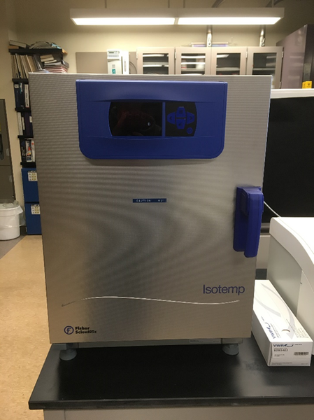 Fisher Scientific Isotemp oven