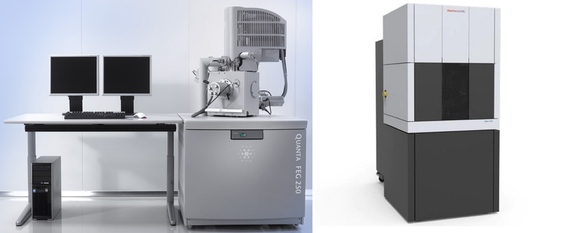 Scanning and transmission electron microscope