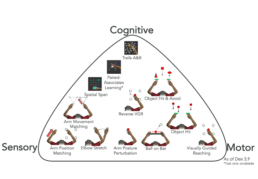 Diagram: Cognitive / Sensory / Motor tasks