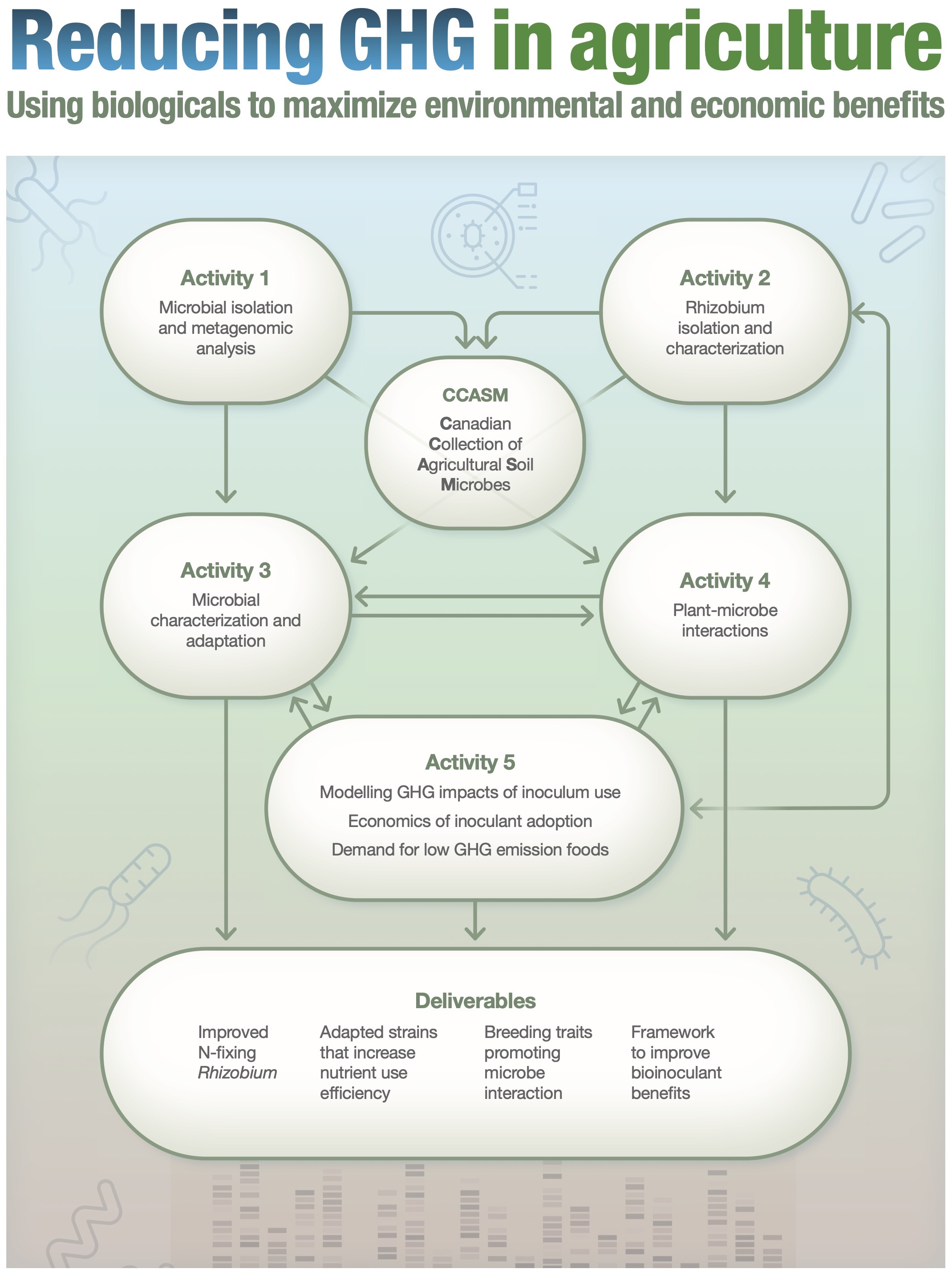 Summary of research activities