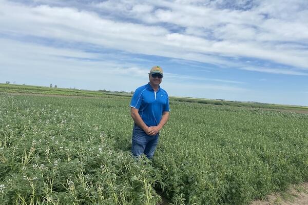 Looking back and moving ahead on microbial inoculants