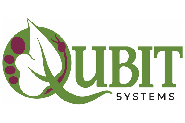 Qubit Systems