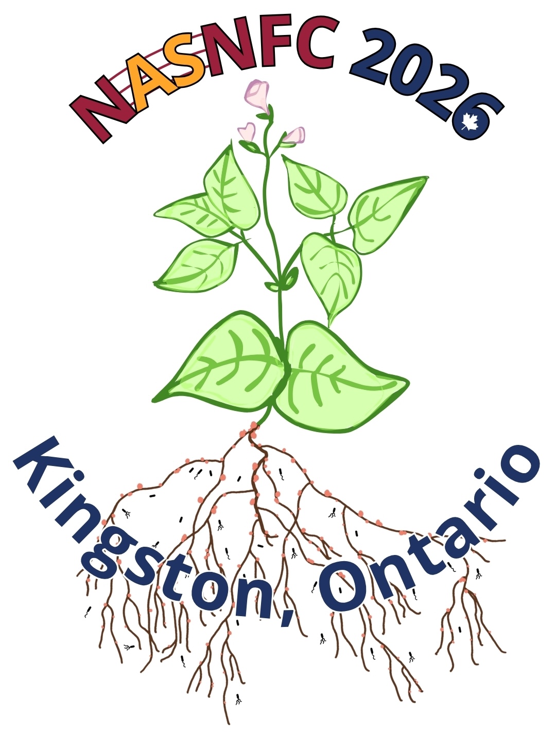NASNFC logo