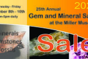 Miller Museum Sale 2023