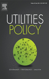 To corporatize or not to corporatize (and if so, how?)