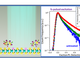 Schematic of TFSI-treated MoS2 and corresponding lifetime extensions 