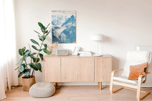 photo of a reading area in an apartment. Includes a plan, shelf, chair and cushions. 