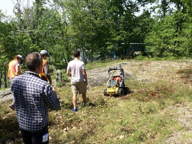 Husky doing fieldwork.