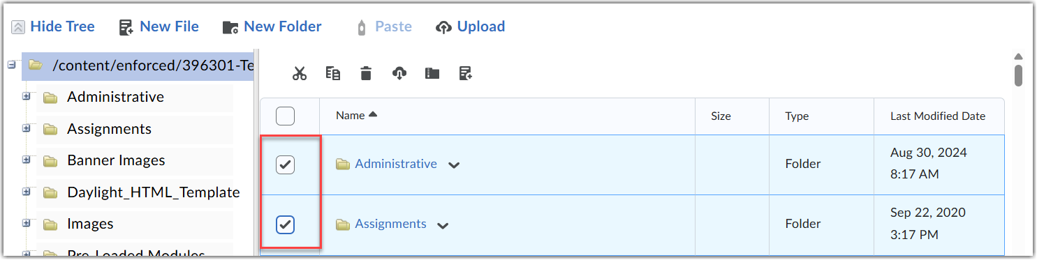 A screengrab of the manage files window that shows two files selected with check boxes to the left and a red box around them both.