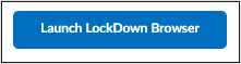 Image of the Launch LockDown Browser button