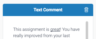 "Screenshot of text comment example."