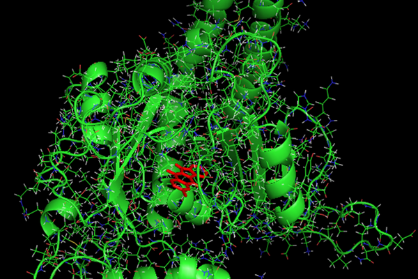 3D image of mitochondrial fission
