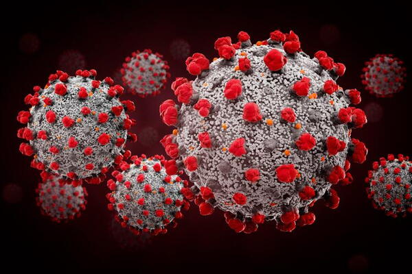 Illustration of COVID virus