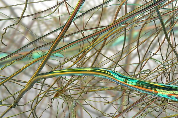 Microscopic view of nanofibres