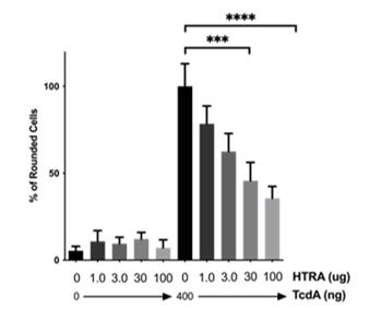 HTRA assay results
