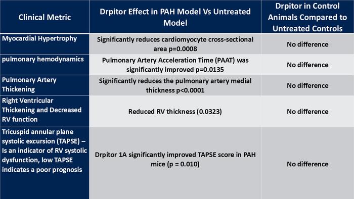 Chart summary of drug effects on mouse subjects