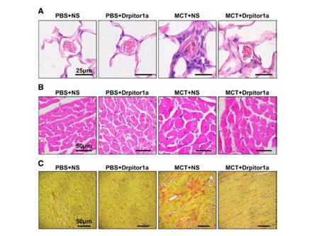 Cells and tissue sample results