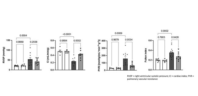 Graph result of drug test on mouse subjects