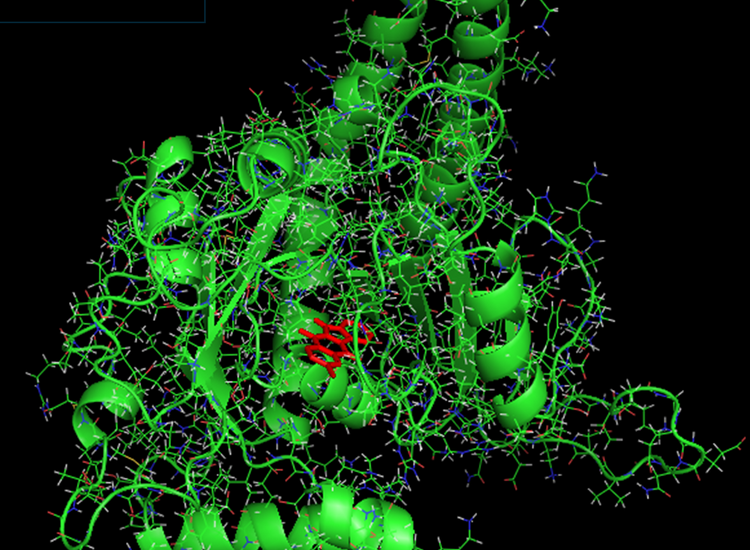 3D image of mitochondrial fission