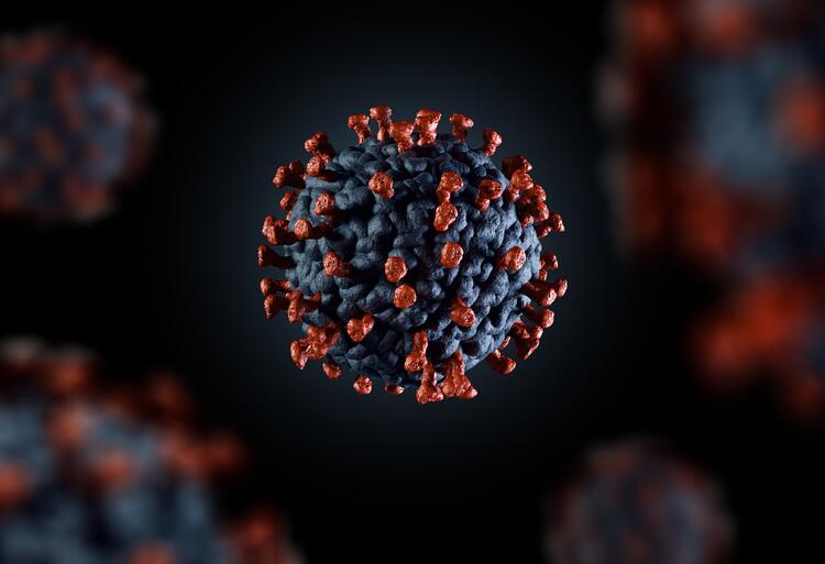 COVID virus illlustration