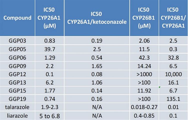 Identification of Potent and Highly Selective CYP26A1 Inhibitors