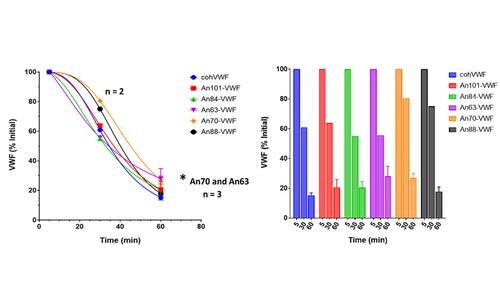 Clearance Studies of Ancestral vWFs in Mice