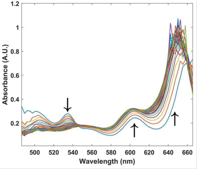 Selected absorption spectra