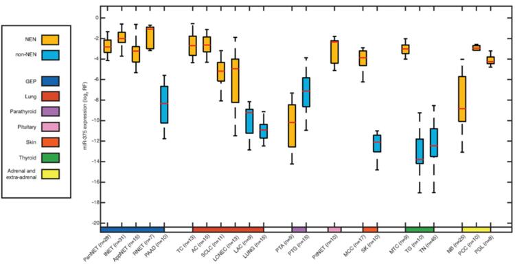 miR-375 expression in NEN and non-NEN samples