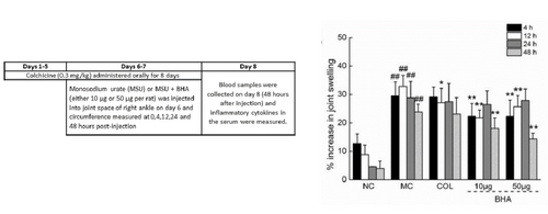 Graph showing BHA effectiveness in gout model