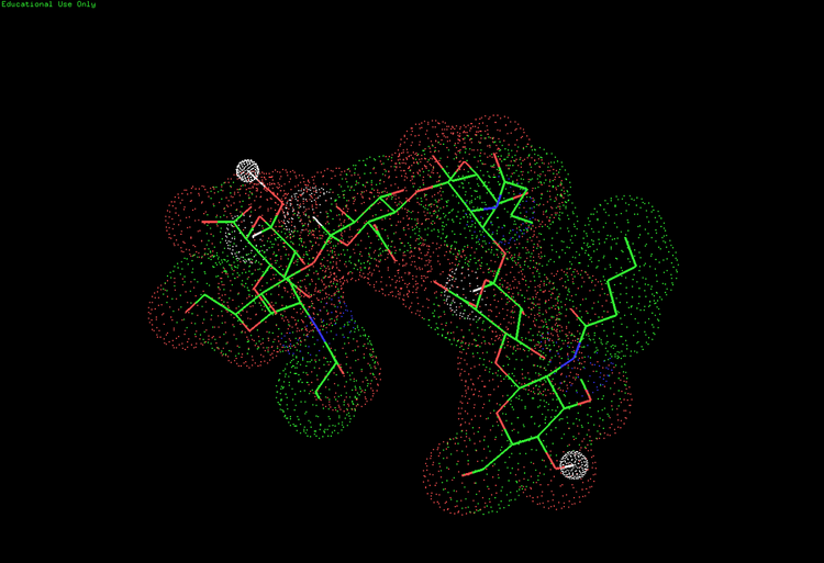 Hyaluronic acid molecule