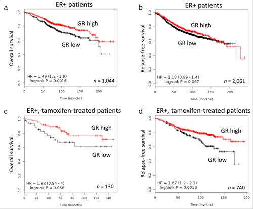 Kaplan-Meier curves of survival in ER+ breast cancer patients.