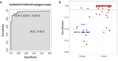 Chart showing Performance of Three-Gene Classifier (GAS6/GSTP1/HAPLN3) in Training and Validation Dataset