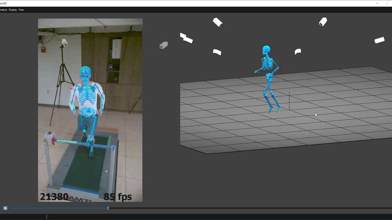 Theia Markerless technology.